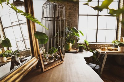 Zo breng je biophilic design naar je eigen woonkamer